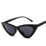 Sun Glasses Personalized Colorful Eyeglasses High Quality Womens Fashion