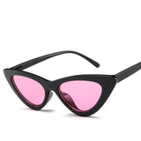 Sun Glasses Personalized Colorful Eyeglasses High Quality Womens Fashion
