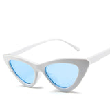 Sun Glasses Personalized Colorful Eyeglasses High Quality Womens Fashion