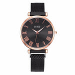 Luxury Starry Sky Women Watches Magnetic Mesh Belt Band Watch Women's Fashion Dress Wristwatch Zegarek Damski Reloj Mujer